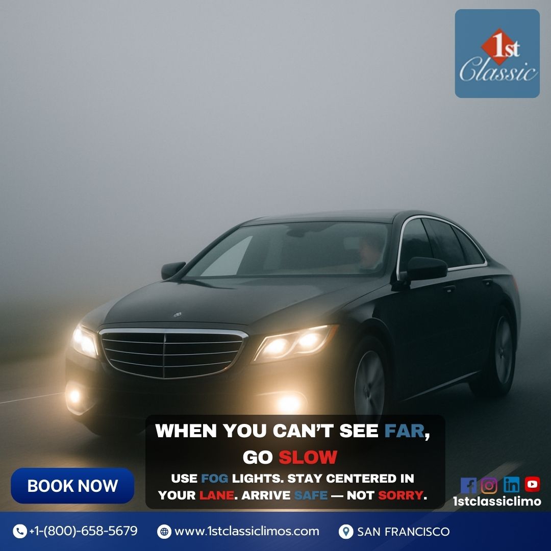 When the Road Disappears, Your Focus Shouldn’t: Driving Smart in Low Visibility