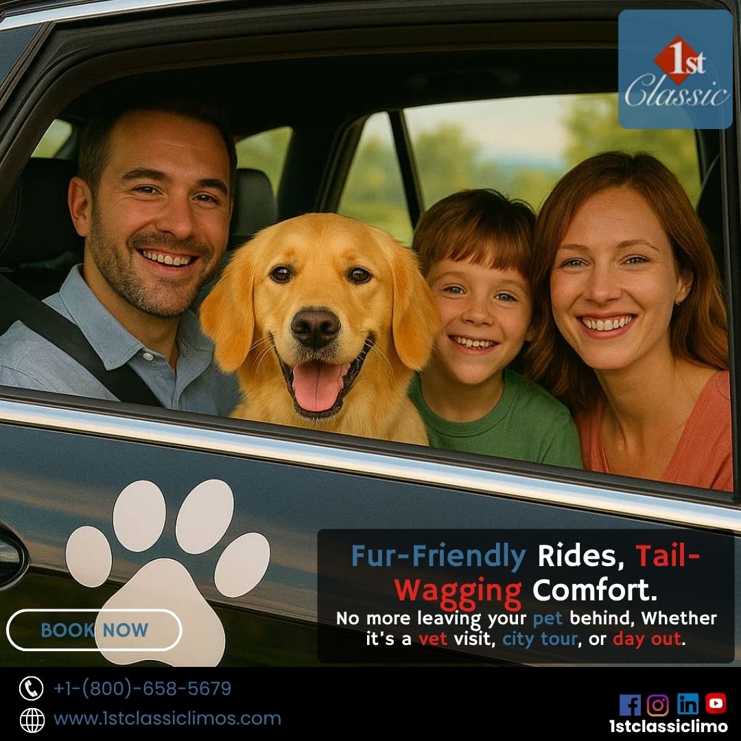 Ride With Your Best Friend — Premium Pet-Friendly Transportation That Truly Cares