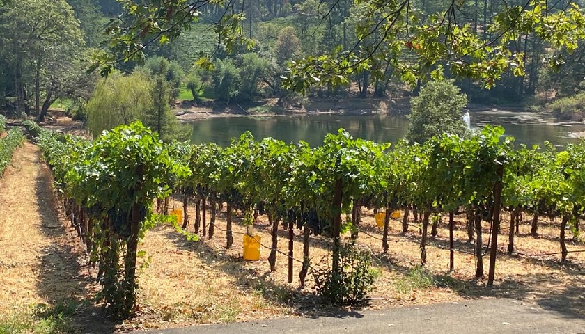 Sonoma Valley Wine Country