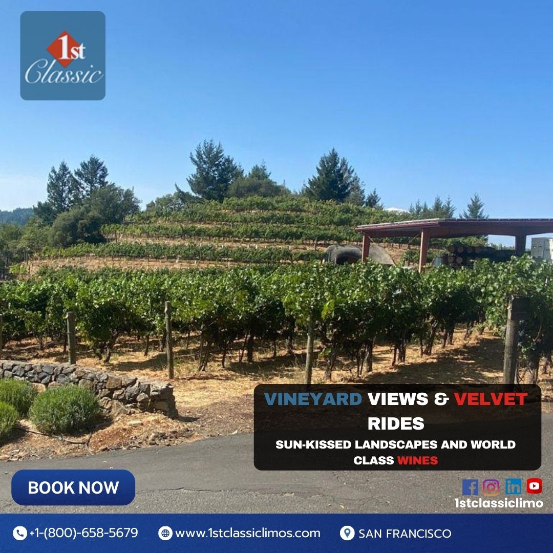 1ST CLASSIC | Experience Vineyard Bliss Like Never Before – Luxury Wine ...