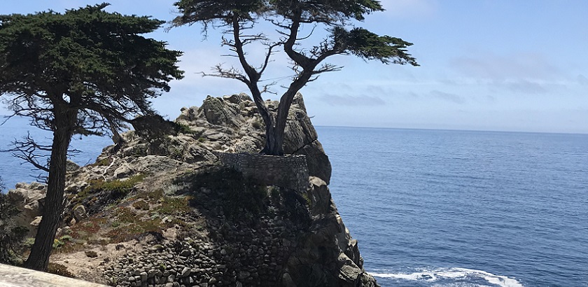 1ST CLASSIC Monterey Carmel by the Sea Scenic 17 Miles Drive